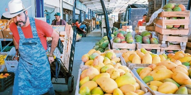 Se abren nuevos mercados para el mango mexicano