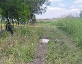 Al sitio llegó personal del Ministerio Público y del Instituto Jalisciense de Ciencias Forenses quienes ya investigan el móvil del crimen, así como las posibles causas de muerte. ESPECIAL