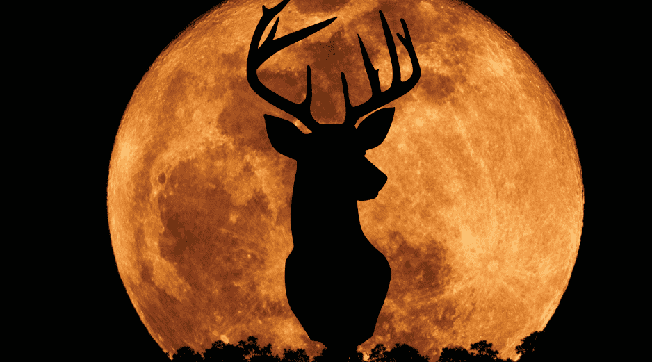 La Luna del Ciervo marca un punto interesante en el calendario astronómico de este año, pues según datos recientes, esta luna llena es la octava de las 13 que ocurrirán durante todo el 2026. CANVA