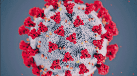 La audiencia reaviva el debate sobre el manejo de la pandemia de COVID-19 y el origen del coronavirus. ESPECIAL/ARCHIVO