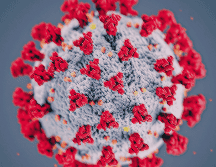 La audiencia reaviva el debate sobre el manejo de la pandemia de COVID-19 y el origen del coronavirus. ESPECIAL/ARCHIVO