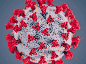 La audiencia reaviva el debate sobre el manejo de la pandemia de COVID-19 y el origen del coronavirus. ESPECIAL/ARCHIVO