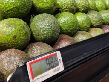 En junio del 2026, el aguacate fue el producto con mayor incidencia al alza con un incremento mensual de 24.53 por ciento. EL INFORMADOR/J. Velazco