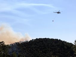 El helicóptero Bell 412 se dirigía a La Rioja para participar en el control de un incendio forestal cuando ocurrió la tragedia. EFE/E. Marcou