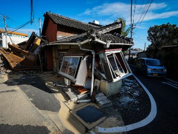 Un video viral muestra cómo un gato en Japón logró anticiparse al devastador terremoto de 7.1 grados. XINHUA/J. Haocheng