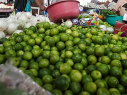 El limón veracruzano ya comenzó a hacerse notar en el mercado internacional para la alegría de los productores. EL INFORMADOR/ARCHIVO