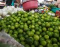 El limón veracruzano ya comenzó a hacerse notar en el mercado internacional para la alegría de los productores. EL INFORMADOR/ARCHIVO