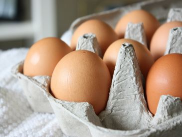 Conservar los huevos en su envase original y a temperatura constante ayuda a reducir el riesgo de proliferación de bacterias. UNSPLASH.