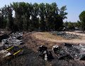 por el momento se han calcinado entre 10 mil y 11 mil hectáreas en España. EFE / ARCHIVO