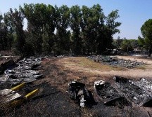 por el momento se han calcinado entre 10 mil y 11 mil hectáreas en España. EFE / ARCHIVO