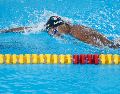 Paulo Strehlke y Celia Pulido encabezaron una nueva cosecha de medallas que elevó a 24 el total de México en la alberca. EFE/ R. Sura.