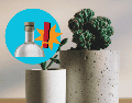 Para aprovechar los corchos en tus plantas, puedes aplicar diferentes técnicas según tu necesidad. UNSPLASH / B. DONALD / UNSPLASH / F. MARRIAGE