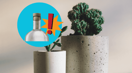 Para aprovechar los corchos en tus plantas, puedes aplicar diferentes técnicas según tu necesidad. UNSPLASH / B. DONALD / UNSPLASH / F. MARRIAGE