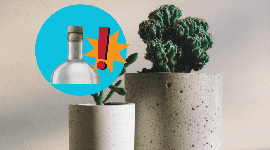 Para aprovechar los corchos en tus plantas, puedes aplicar diferentes técnicas según tu necesidad. UNSPLASH / B. DONALD / UNSPLASH / F. MARRIAGE