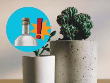 Para aprovechar los corchos en tus plantas, puedes aplicar diferentes técnicas según tu necesidad. UNSPLASH / B. DONALD / UNSPLASH / F. MARRIAGE