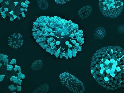 El virus de la viruela experimentó un largo período de cambios genéticos hasta el siglo XVI, pero su evolución se ralentizó notablemente durante el apogeo de la expansión colonial. Unsplash
