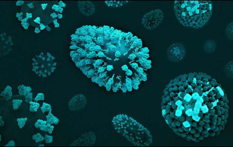 El virus de la viruela experimentó un largo período de cambios genéticos hasta el siglo XVI, pero su evolución se ralentizó notablemente durante el apogeo de la expansión colonial. Unsplash