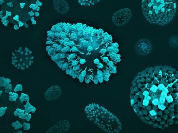 El virus de la viruela experimentó un largo período de cambios genéticos hasta el siglo XVI, pero su evolución se ralentizó notablemente durante el apogeo de la expansión colonial. Unsplash