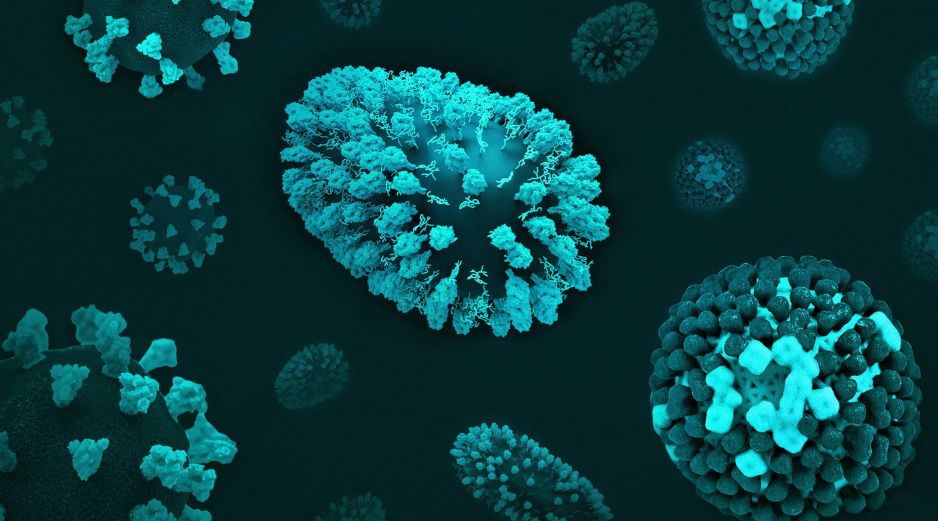 El virus de la viruela experimentó un largo período de cambios genéticos hasta el siglo XVI, pero su evolución se ralentizó notablemente durante el apogeo de la expansión colonial. Unsplash