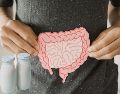 Mientras los probióticos son los microorganismos vivos, los prebióticos son su fuente de alimento. ESPECIAL / CANVA