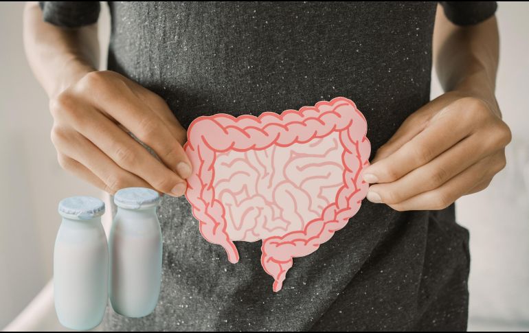 Mientras los probióticos son los microorganismos vivos, los prebióticos son su fuente de alimento. ESPECIAL / CANVA