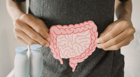 Mientras los probióticos son los microorganismos vivos, los prebióticos son su fuente de alimento. ESPECIAL / CANVA