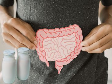 Mientras los probióticos son los microorganismos vivos, los prebióticos son su fuente de alimento. ESPECIAL / CANVA