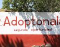 Ubicado dentro del Centro de Salud y Control Animal de Tonalá, este lugar forma parte de la estrategia del municipio para atender la sobrepoblación de perros y gatos en situación de calle. ESPECIAL/Ayuntamiento de Tonalá
