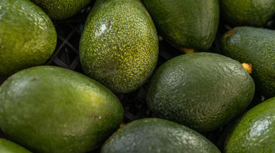 El aguacate se colocó como el segundo producto agroalimentario más exportado de México a Estados Unidos en 2025. ESPECIAL/PEXELS