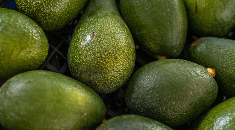 El aguacate se colocó como el segundo producto agroalimentario más exportado de México a Estados Unidos en 2025. ESPECIAL/PEXELS