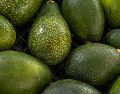 El aguacate se colocó como el segundo producto agroalimentario más exportado de México a Estados Unidos en 2025. ESPECIAL/PEXELS