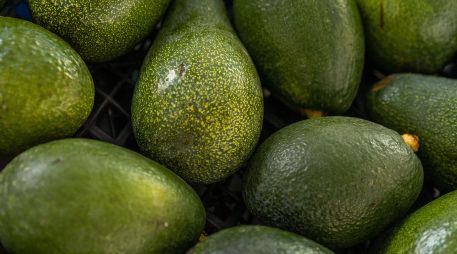 El aguacate se colocó como el segundo producto agroalimentario más exportado de México a Estados Unidos en 2025. ESPECIAL/PEXELS