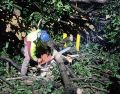 En Tonalá se reportó un árbol caído en las calles de Arroyo de Enmedio y Hacienda del Carmen, en la entrada de Hacienda Real. ESPECIAL