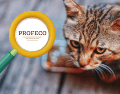 Profeco recomienda revisar cuidadosamente el etiquetado antes de comprar un producto y no basar la decisión únicamente en la presentación comercial o las afirmaciones publicitarias del fabricante. CANVA / UNSPLASH