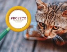 Profeco recomienda revisar cuidadosamente el etiquetado antes de comprar un producto y no basar la decisión únicamente en la presentación comercial o las afirmaciones publicitarias del fabricante. CANVA / UNSPLASH