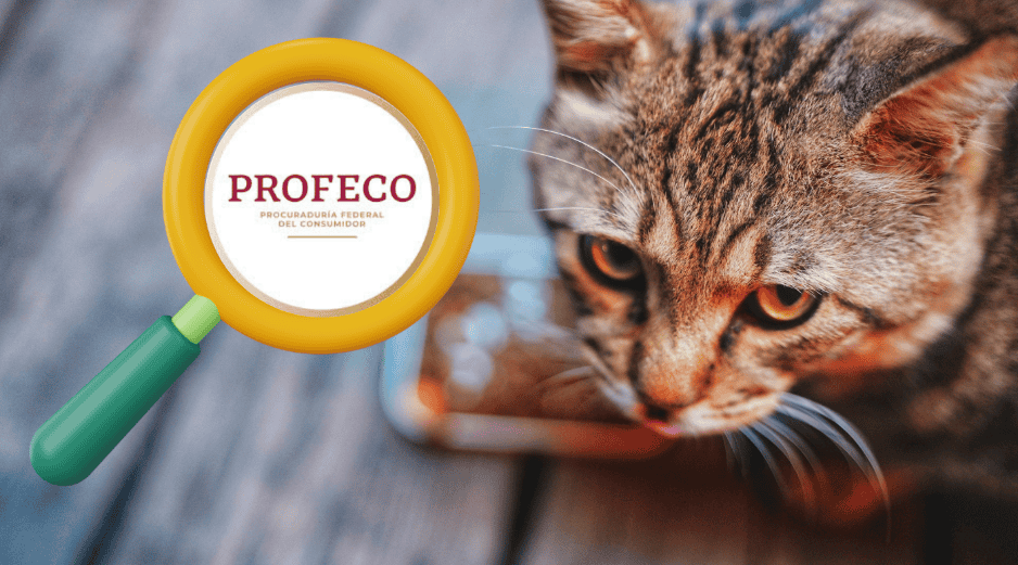 Profeco recomienda revisar cuidadosamente el etiquetado antes de comprar un producto y no basar la decisión únicamente en la presentación comercial o las afirmaciones publicitarias del fabricante. CANVA / UNSPLASH