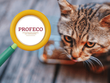 Profeco recomienda revisar cuidadosamente el etiquetado antes de comprar un producto y no basar la decisión únicamente en la presentación comercial o las afirmaciones publicitarias del fabricante. CANVA / UNSPLASH