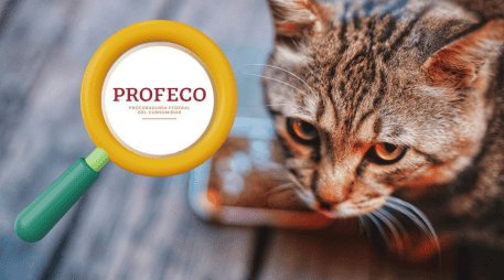 Profeco recomienda revisar cuidadosamente el etiquetado antes de comprar un producto y no basar la decisión únicamente en la presentación comercial o las afirmaciones publicitarias del fabricante. CANVA / UNSPLASH
