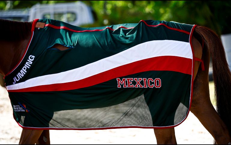 Será este lunes cuando el equipo mexicano de salto ecuestre inicie su actividad en pista luego de meses de preparación. CORTESÍA/ Óscar Mujica.