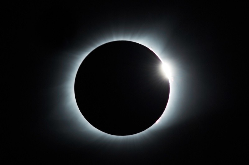 &nbsp;UNSPLASH / M. Schwartz 