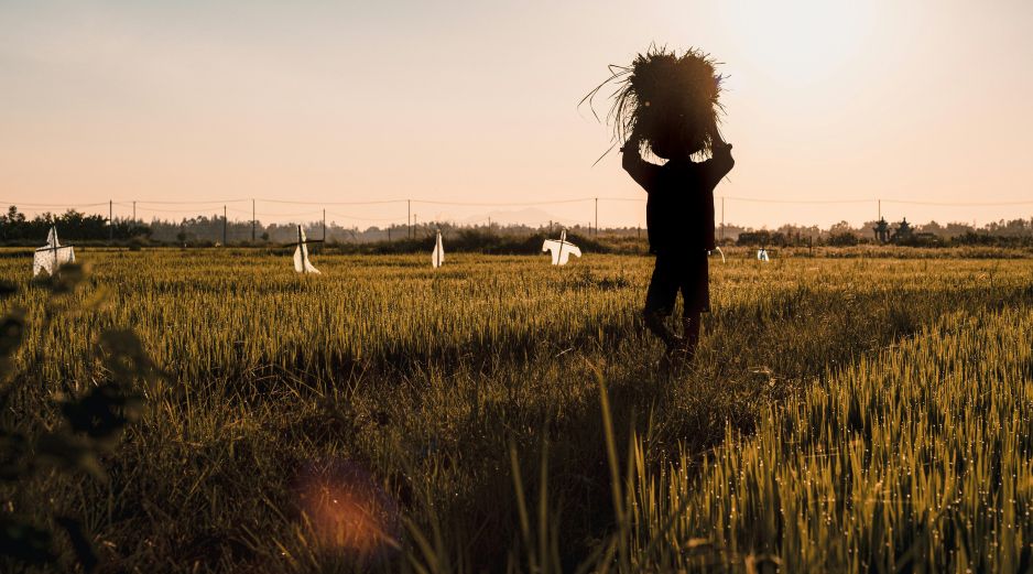 En ese sentido, el estudio subrayó que los trabajadores informales, rurales y quienes realizan actividades al aire libre figuran entre los grupos más expuestos a la pérdida de ingresos. Unsplash