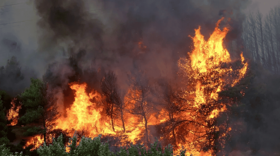 El impacto ambiental de estos incendios refleja una tendencia climática a largo plazo sumamente preocupante para Norteamérica. EFE/ARCHIVO