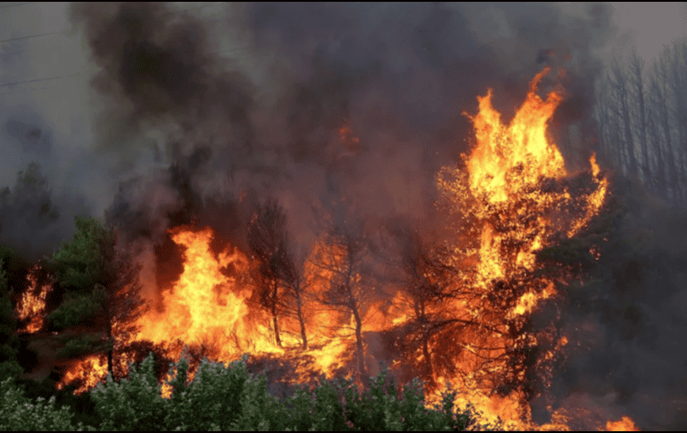 El impacto ambiental de estos incendios refleja una tendencia climática a largo plazo sumamente preocupante para Norteamérica. EFE/ARCHIVO