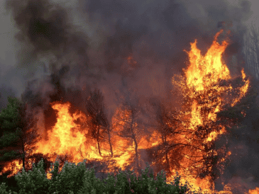 El impacto ambiental de estos incendios refleja una tendencia climática a largo plazo sumamente preocupante para Norteamérica. EFE/ARCHIVO