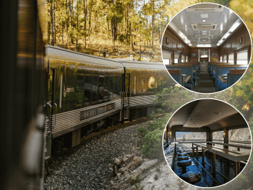 Si planeas viajar este mes, lo más recomendable es adquirir los boletos con anticipación. TREN CHEPE / ESPECIAL