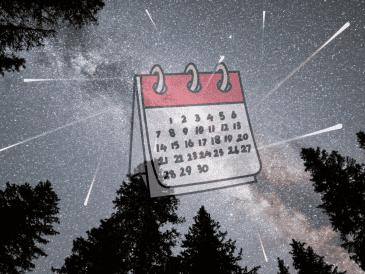 Entre los eventos más esperados sobresalen la lluvia de meteoros perseidas, que alcanzará una tasa máxima observable de hasta 150 meteoros por hora, y un eclipse parcial de Luna. CANVA