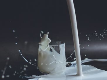 ¡Ya lo sabes! Más allá del calcio, esta bebida aporta nutrientes clave para cualquier etapa de la vida. Unsplash