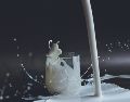 ¡Ya lo sabes! Más allá del calcio, esta bebida aporta nutrientes clave para cualquier etapa de la vida. Unsplash