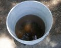la Coprisjal se encuentra realizando nuevas tomas de muestra de agua en la ZMG. EL INFORMADOR / ARCHIVO