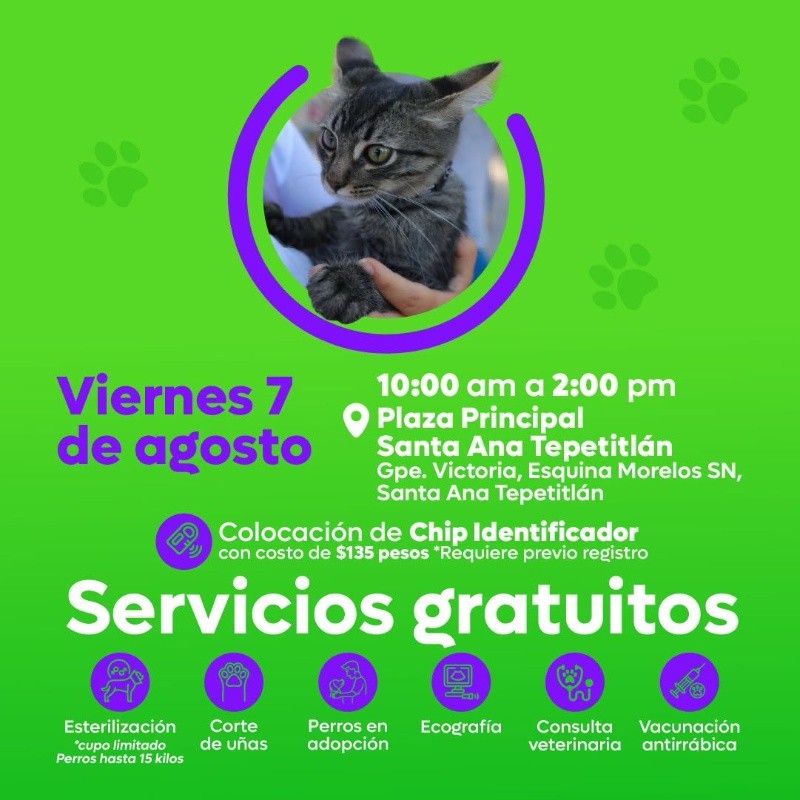 CORTESÍA/ Protección Animal Zapopan. 
